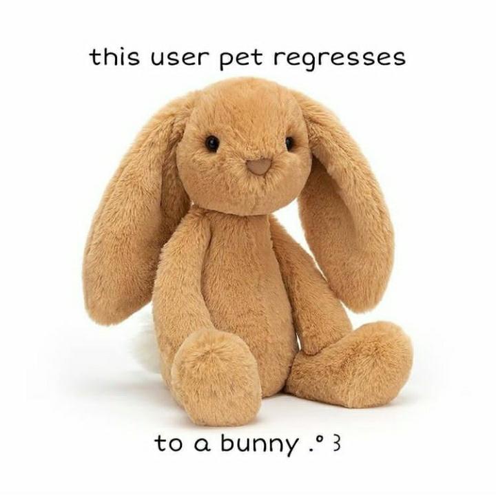 puppy_wuppie tweet picture