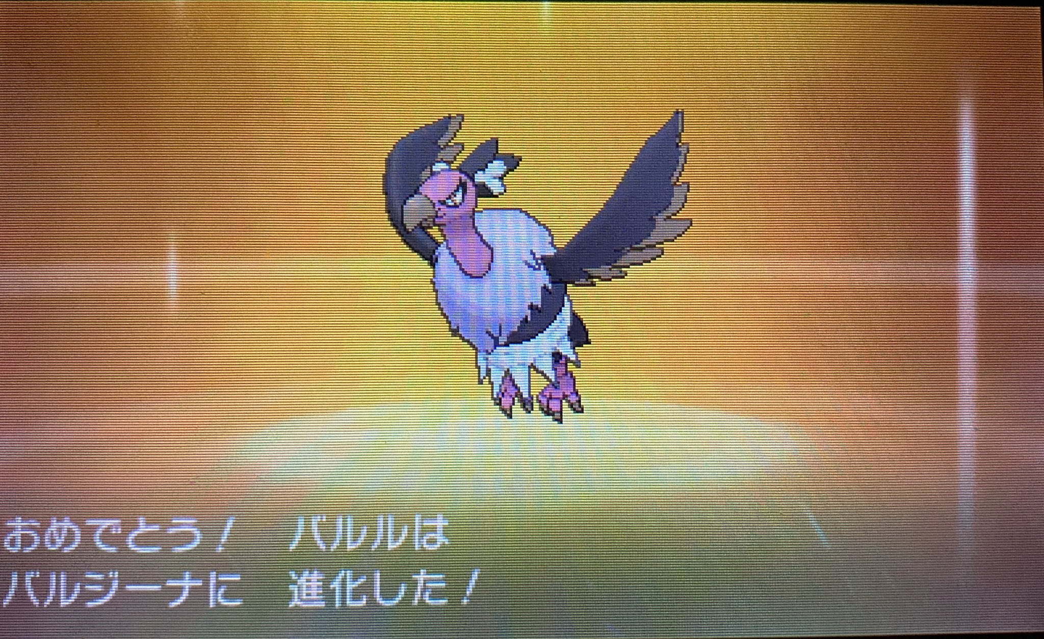 じん そして ラッキーと同時並行で色違いバルチャイをバルジーナに進化させました バルジーナの色違いはバルチャイとほぼ変わりませんが 首のもふもふが紫色になり色合い的にバッチリになりました それにしても進化レベルが高すぎ T Co