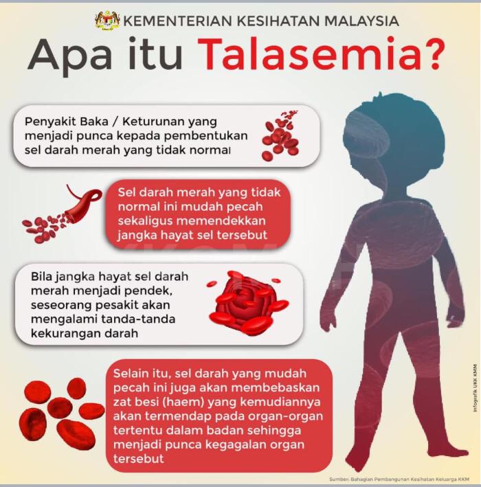 Penyakit thalasemia adalah