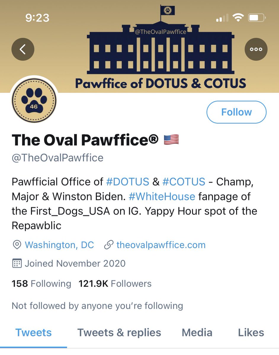 2021 is already looking better!  Excites see what the #FirstDogs get up to this term!