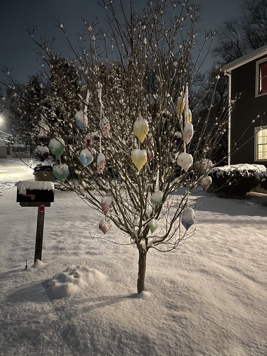 The first measurable snow of 2021 arrived the same night our son and the Weather Services Club from <a href="/ConcordCarlisle/">Concord-Carlisle HS</a> Zoomed with <a href="/ericfisher/">Eric Fisher</a> from <a href="/wbz/">WBZ | CBS News Boston</a> about storms, climate change, and weather forecasting.  It was an exciting and picturesque night!