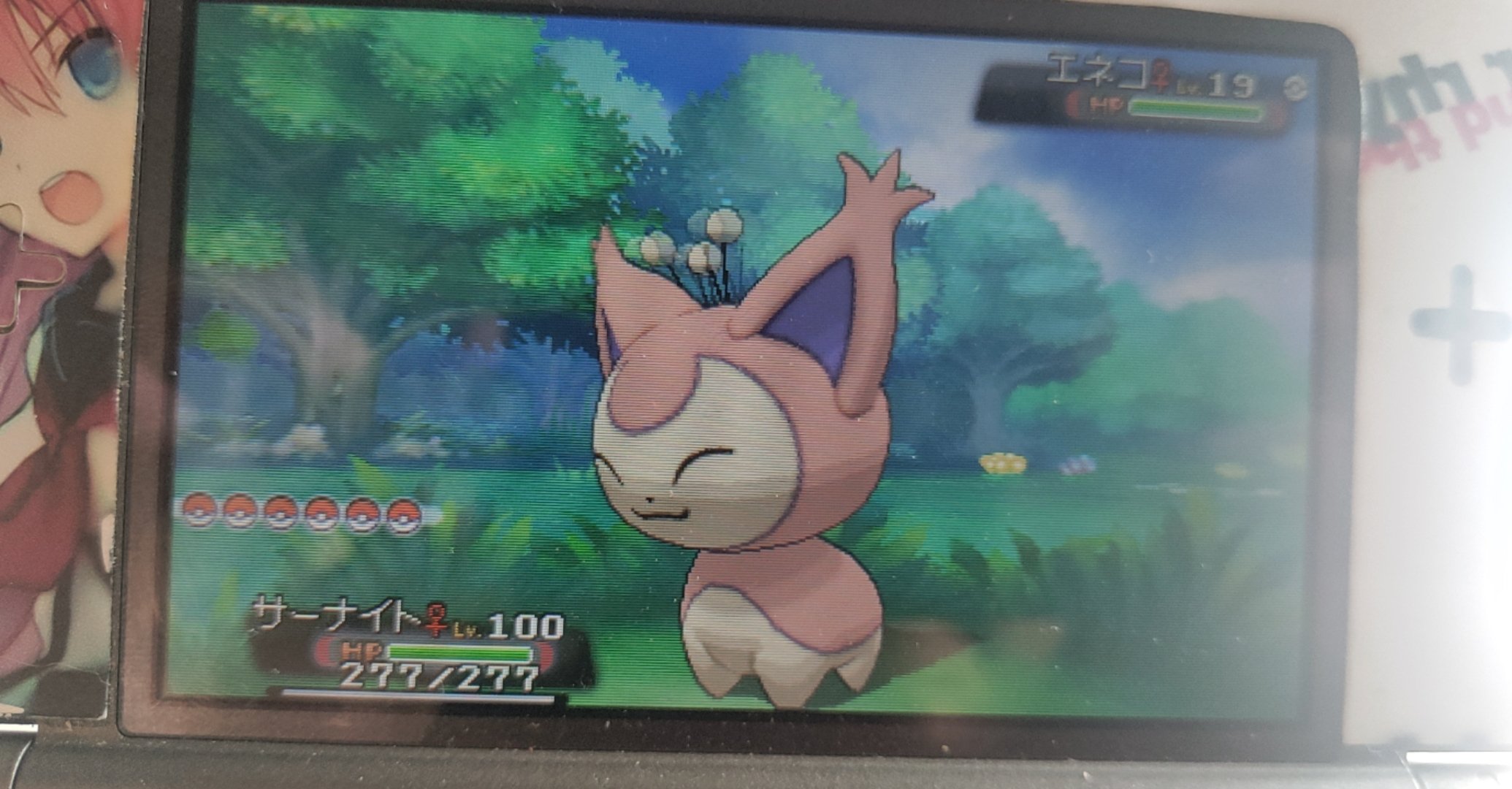 ぜかまし 10連鎖で色違いエネコゲット かわいい ポケモンオメガルビー 色違いポケモン T Co K6bdbk3cwv Twitter