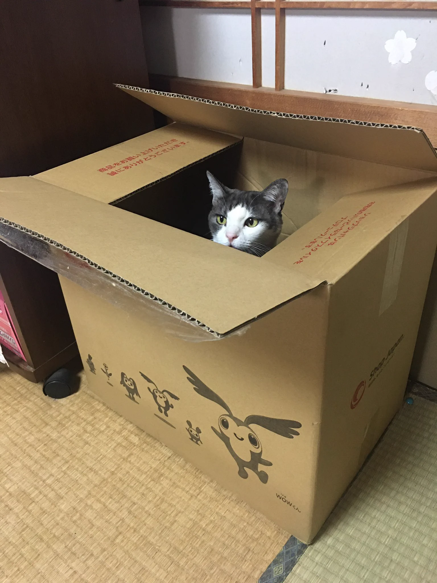 @delpilot 我が家も入っていました😅 