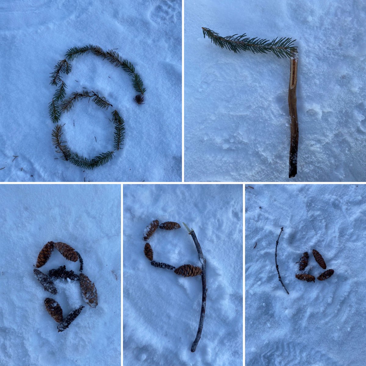 MariahBTeaching's tweet photo. Day two of practicum and I am absolutely loving connecting to our place as we explore math outdoors. #outdoored #sd27 #primarymath #finalpracticum @EducationUnbc https://t.co/DgBaulQLT5