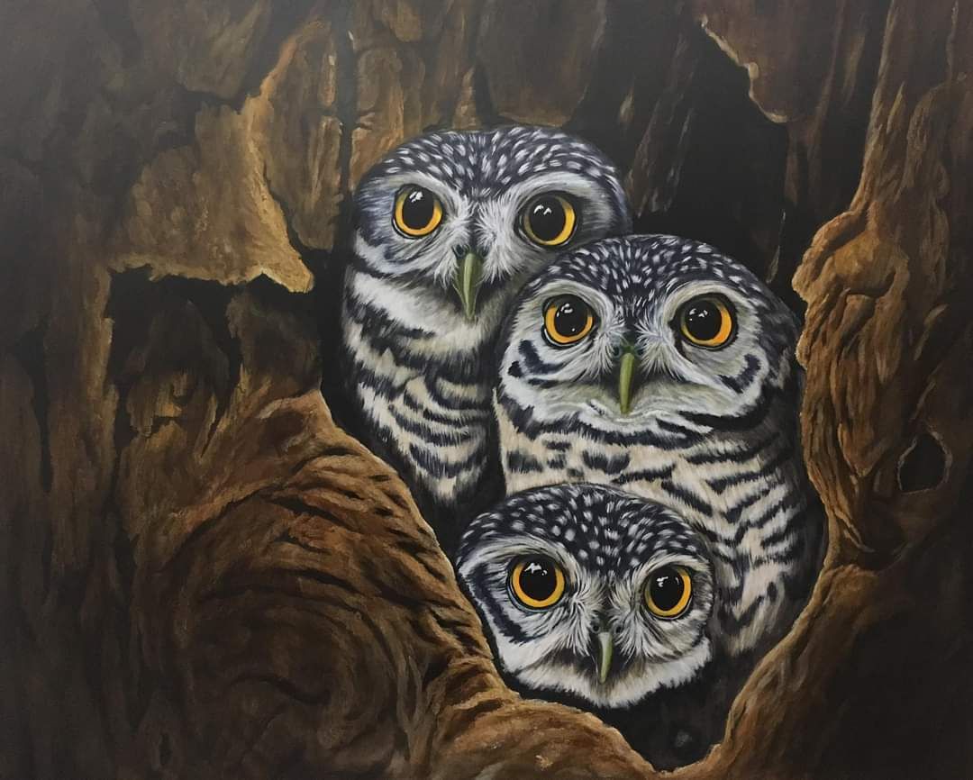 Home sweet Home 🦉🏡 
.
.
.
#owl #owls #Owl #owllove #owllovers #owllife #owlfan #owlquotes #owlobsession #cuteowls #owlpost #HootyHooCL #owladdict #bird #birdlife #animallover #animallovers #birdlovers #owlart #painting #home