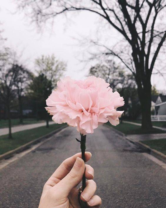 Flower.love tweet media
