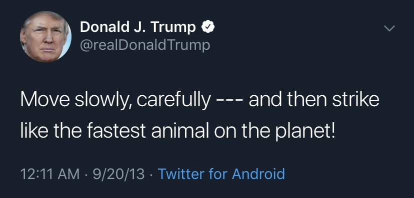 I still have more, but I need a break.In the meantime, I give you this to ponder 