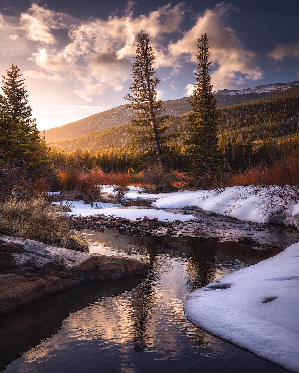 gorgeous_pix's tweet photo. "Two Pines at Sunrise, RMNP Colorado. From u/HellsJuggernaut on /r/mostbeautiful #twopines #rmnpcolorado #sunrise #mostbeautiful" https://t.co/VNP2bLpp6U
