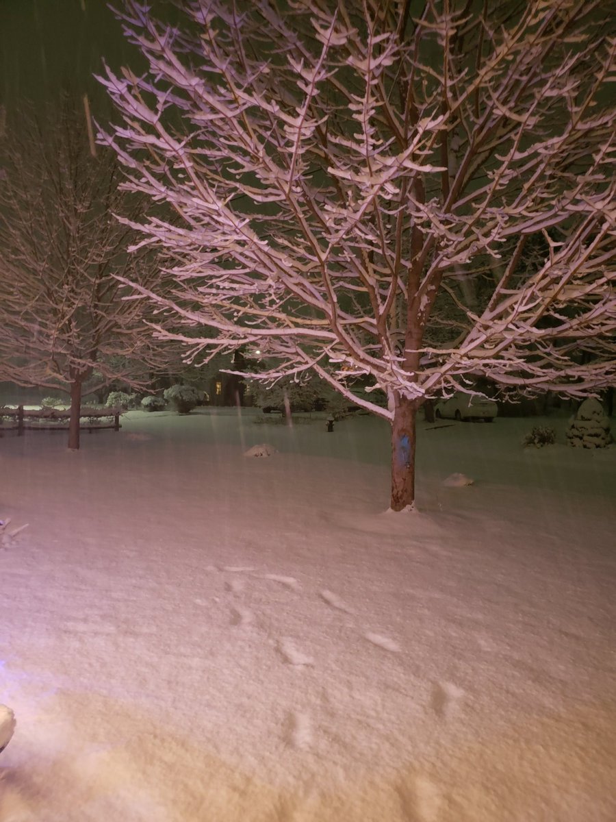 monkey629's tweet image. 