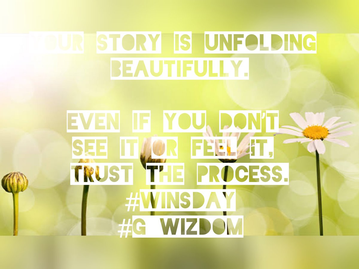 Gryphon1632's tweet photo. #WinsDay #G_WIZdom https://t.co/nWveZCej0I