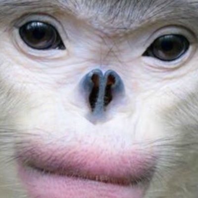 robthesid's tweet photo. #NewProfilePic https://t.co/Qi3su1UL3u