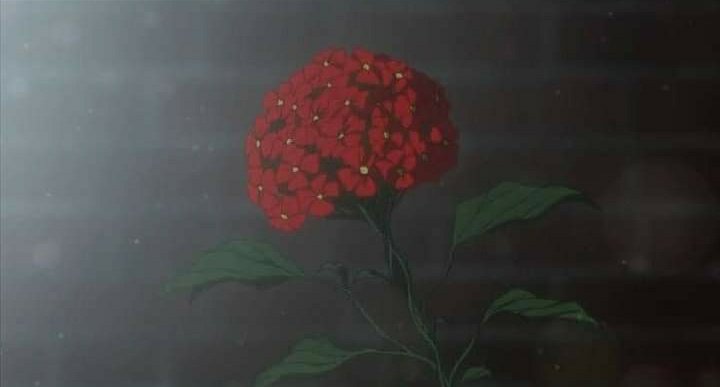 la única flor que quiero recibir para el 14 de febrero 😍👌🏻