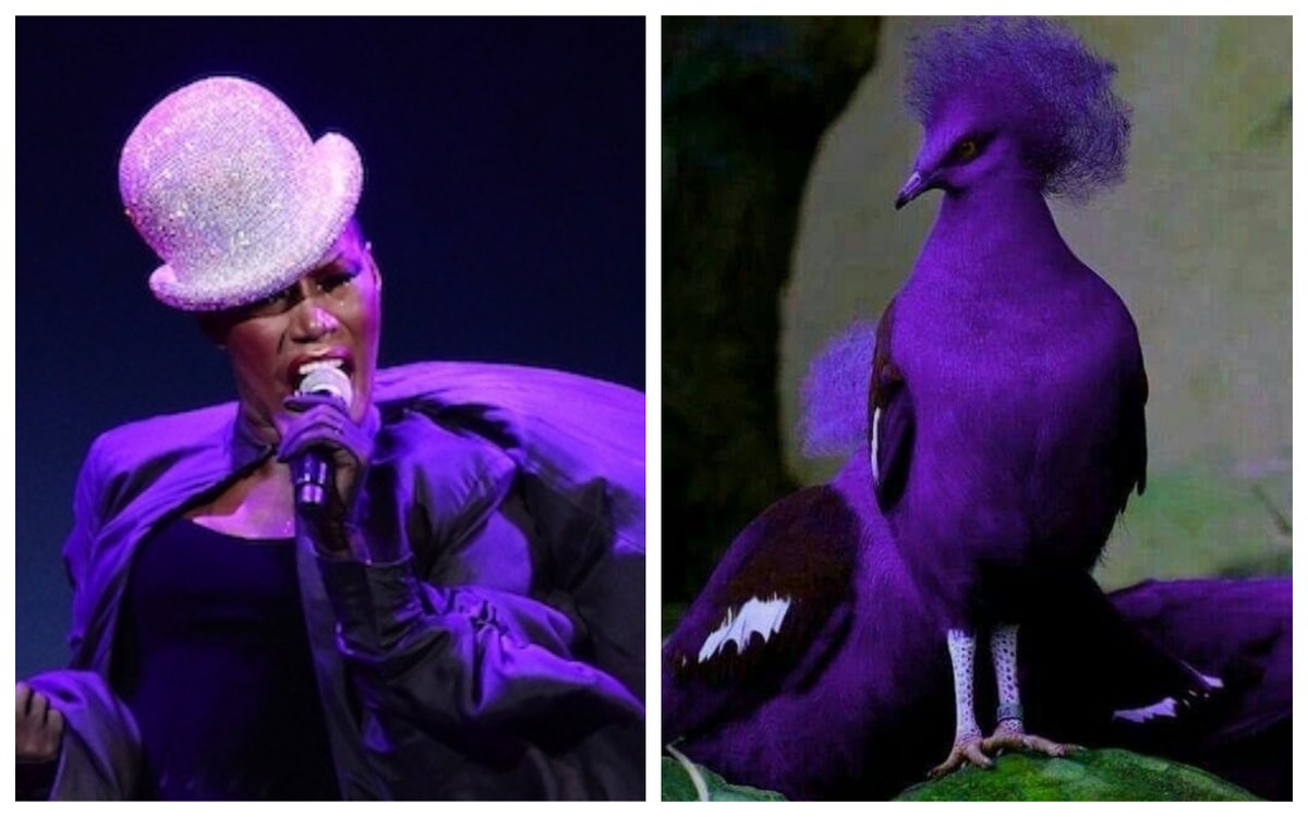 Grace Jones as birds: a thread.