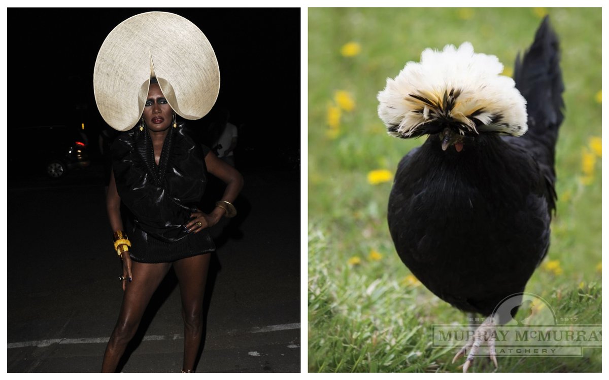 Grace Jones as birds: a thread.