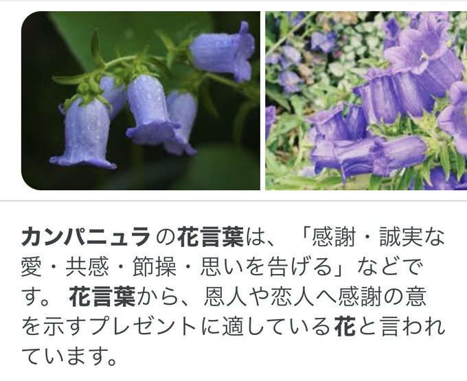 釣鐘草のtwitterイラスト検索結果 釣鐘草のtwitterイラスト検索結果