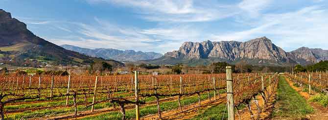 wineworldnews (@wineworldnews) on Twitter photo The Final Insult for South African Wine bit.ly/3abkyzT via <a href="/WineSearcher/">Wine Searcher</a> #wine #SouthAfrican <a href="/winewankers/">The Wine Wankers 🍾🤛🎉🥂</a> <a href="/timatkin/">Tim Atkin</a> <a href="/sawine/">South African Wine</a> <a href="/SAWinelands/">SA Winelands</a> <a href="/southafricauk/">South African Tourism</a> <a href="/nealmartin/">Neal Martin</a> <a href="/ZaharaSA/">ZAHARA</a> <a href="/winecoza/">wine.co.za | South African Wine</a> <a href="/southafricanmag/">South African Magazine</a> <a href="/gregsherwoodmw/">Greg Sherwood MW</a> <a href="/CapeWinemakersG/">CapeWinemakersGuild</a> <a href="/WOSA_ZA/">WOSA South Africa</a> <a href="/WOSA_DE/">WOSA Germany</a> The Final Insult for South African Wine bit.ly/3abkyzT via <a href="/WineSearcher/">Wine Searcher</a> #wine #SouthAfrican <a href="/winewankers/">The Wine Wankers 🍾🤛🎉🥂</a> <a href="/timatkin/">Tim Atkin</a> <a href="/sawine/">South African Wine</a> <a href="/SAWinelands/">SA Winelands</a> <a href="/southafricauk/">South African Tourism</a> <a href="/nealmartin/">Neal Martin</a> <a href="/ZaharaSA/">ZAHARA</a> <a href="/winecoza/">wine.co.za | South African Wine</a> <a href="/southafricanmag/">South African Magazine</a> <a href="/gregsherwoodmw/">Greg Sherwood MW</a> <a href="/CapeWinemakersG/">CapeWinemakersGuild</a> <a href="/WOSA_ZA/">WOSA South Africa</a> <a href="/WOSA_DE/">WOSA Germany</a>