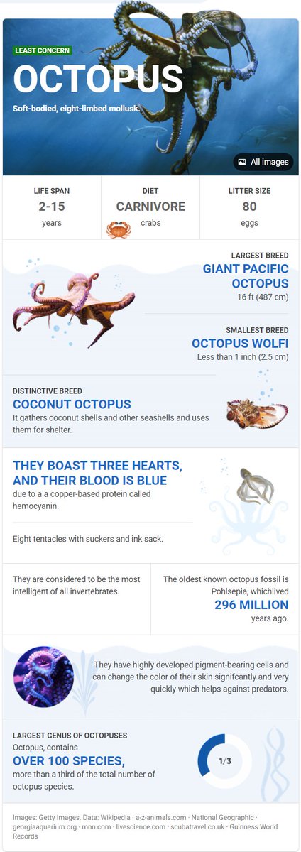 SalGad's tweet photo. Going to try sharing out a cool fresh Knowledge Card a day from #bing - a refreshing new take on Knowledge in search!
Starting with one of my favorites, the intelligent Octopus
https://t.co/lAo6LfNmqE
#bing #knowledge #changingsearch https://t.co/dlMZ4wS3Hx