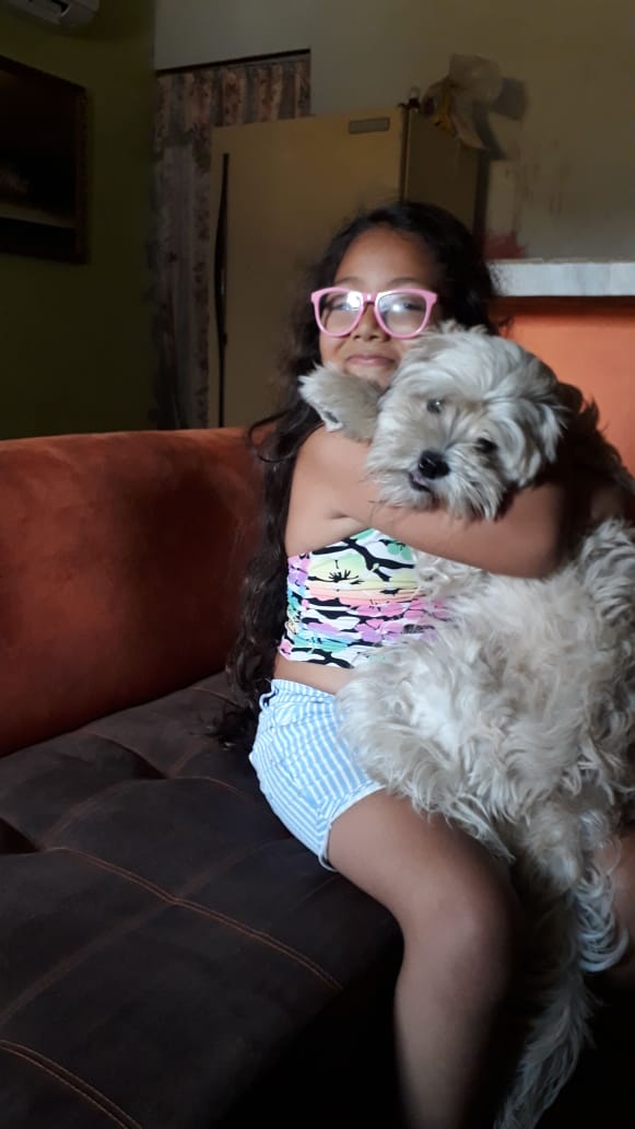 biancoello's tweet photo. @MauricioAyoraTC buenas noches porfavor ayúdeme se perdió mi perrito se llama puki tiene un acceso en el ojito izquierdo se perdió en goyena y garcia moreno por el serli los dueños y una niña de 9 años estan llorando por el es parte de nuestra familia https://t.co/qoLYJsTTPr
