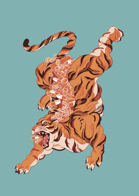 tiger 