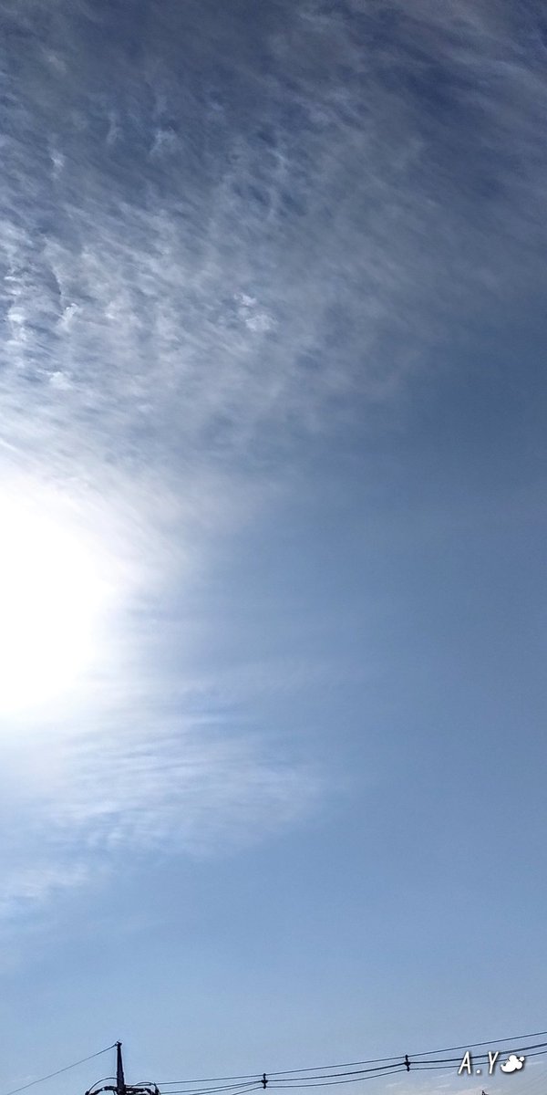 yumeasutw's tweet photo. 青空が広がってきました💙
お日様に広がる #もつれ雲 に、
うっすらとハロも見えます。
只今の気温🌡️14℃
ポカポカ春の陽気です☀️
#いまそら #イマソラ
#空の名前
#雲の教室
#青空 #bluesky
#巻雲
#巻積雲
#高積雲
#二重巻雲
#a2021 #a0127 #a202101 #a2021015 https://t.co/VBXmjquD0w