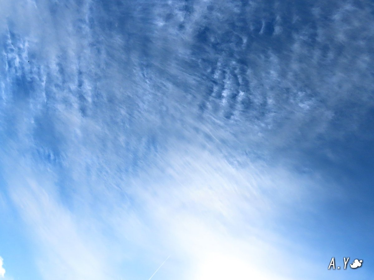 yumeasutw's tweet photo. 青空が広がってきました💙
お日様に広がる #もつれ雲 に、
うっすらとハロも見えます。
只今の気温🌡️14℃
ポカポカ春の陽気です☀️
#いまそら #イマソラ
#空の名前
#雲の教室
#青空 #bluesky
#巻雲
#巻積雲
#高積雲
#二重巻雲
#a2021 #a0127 #a202101 #a2021015 https://t.co/VBXmjquD0w