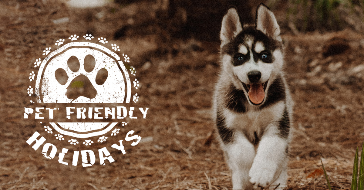 BigHuskyLodge's tweet photo. Our 4 legged friends are welcome at Big Husky Lodge with a secured large garden.
#itsadogslife #petfriendlybreak #partofthefamily https://t.co/6981RZXC82