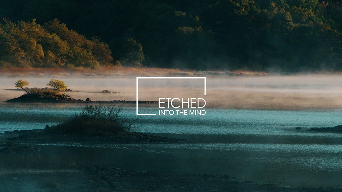Etched_official's tweet photo. Etched 002 : Sakura Tsurta / 裏磐梯

こちらももうすぐ5000回再生回数。
揺らぎが心地良いアンビエントLiveセットをご堪能ください。

https://t.co/NJ3K6V4qL3 https://t.co/EmF9iBWOWN