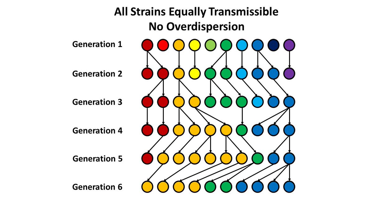 4. An example (based on a random number generator): Assume you have 10 people infected with 10 different strains. On average, each person infects one other person (R=1). If each transmission event is random (Poisson distributed), no one variant tends to take over.