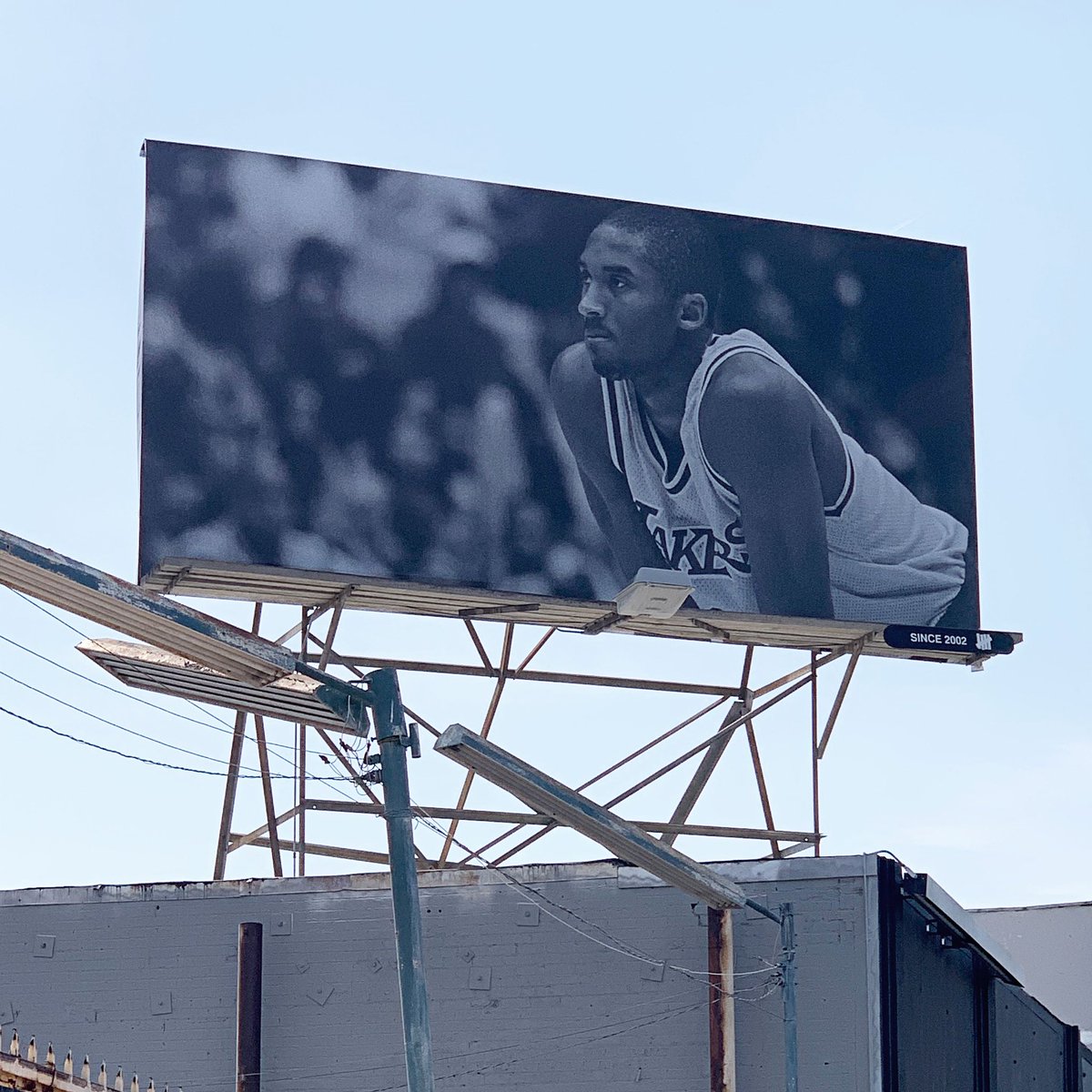 UNDEFEATEDinc's tweet photo. IBeen thinking about you all day. Going to get some shots up. MambaForever https://t.co/e7yha2lYlf