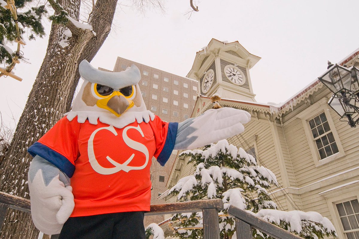 dolekun's tweet photo. 🦉🤫
#見た人もなにか無言で北海道あげる https://t.co/uARbwCcMtL