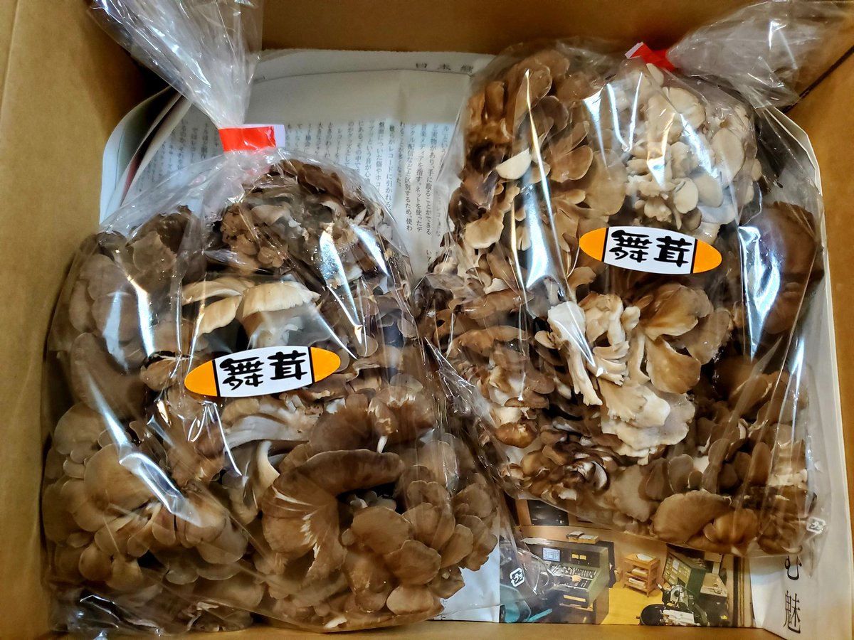 先日RTした七会きのこセンターの舞茸がもう届きました!すごい立派!!かわいらしいきのこのお守りとお手紙つき?✨ちょうどお昼ごはんの準備をしていたところだったので、速攻で炒めましたが、プリプリサクサクでものすごくおいしいです?夜は炊き込みご飯作ろう? 