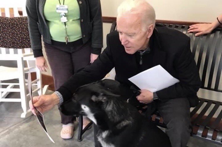 TheOvalPawffice's tweet photo. ๐พVery few hoomans know the story behind this photo: when he pawdopted me from @delawarehumane, my dad showed me a picture of my big brother Champ, so that Iโd know I will have a great suppawrt system in my new home. I wish all shelter pets were as lucky. #AdoptDontShop https://t.co/pYjifCzD7h