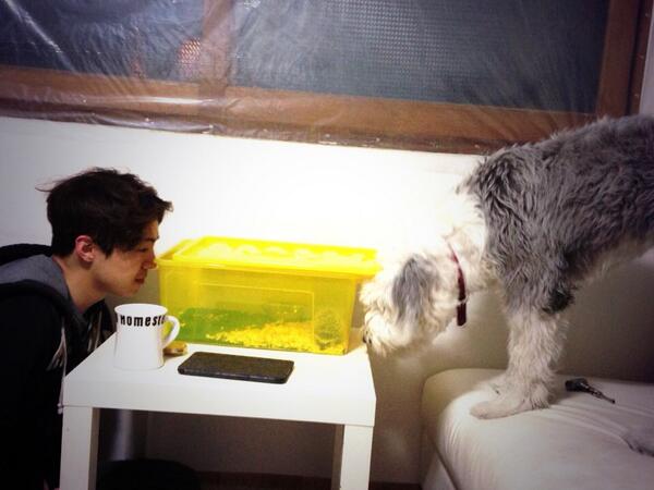 whywhy96's tweet photo. 그게파양 입니다 박은석씨 로건리씨..
사정이안좋아서 보냈음 두번다시 입양하지말았어야지 https://t.co/JNpai5Ki40