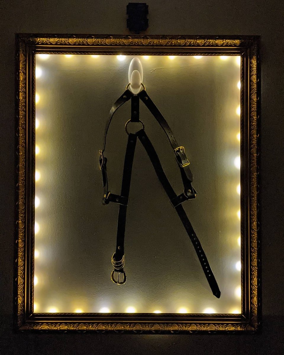 Sofa_lofaa's tweet photo. I just wanted to show twitter how I display my Matthias harness by @kolbybrianne in this gold frame I found at a thrift store 😌 https://t.co/GWUOqtS81Q