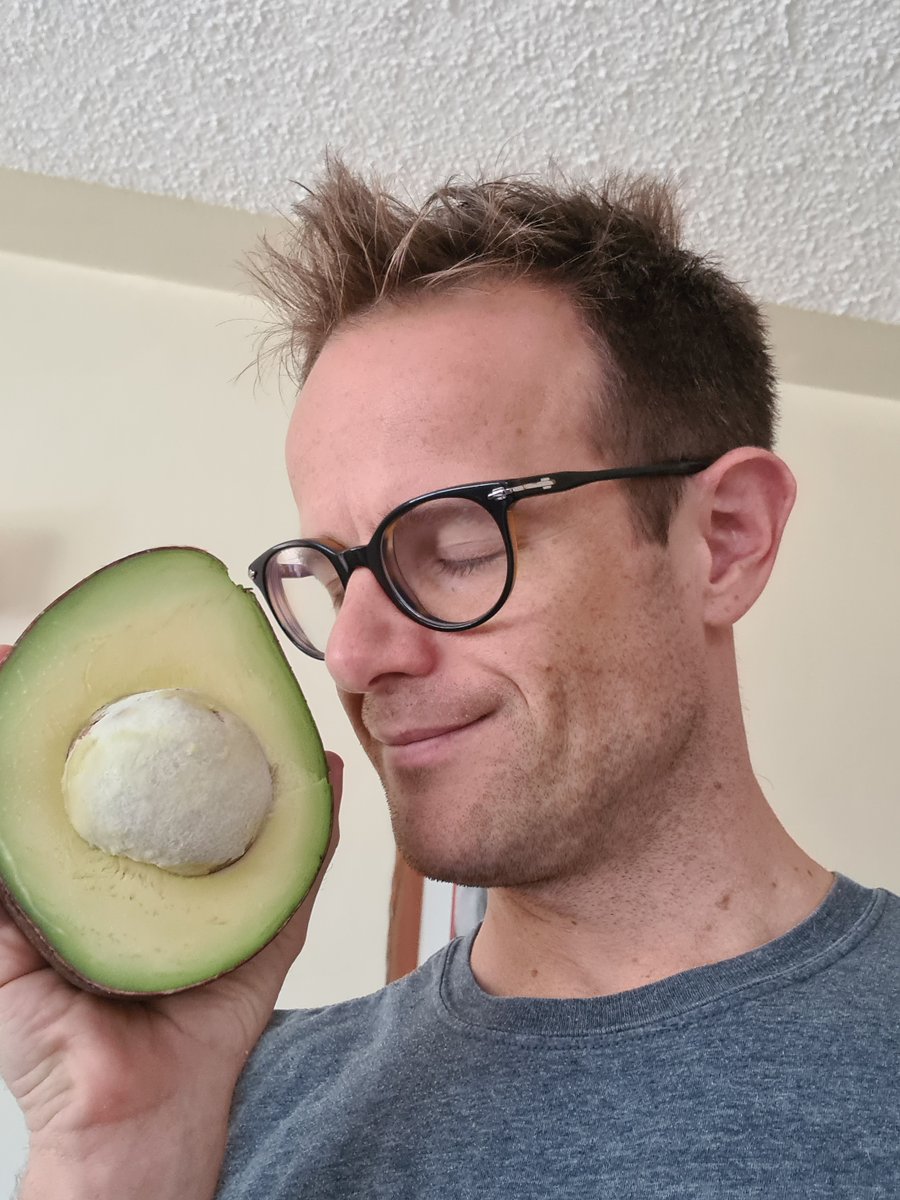 I’m back from my first trip in a year. I went to the Netherlands to deal with some EU setup stuff for Enda. I’m certainly glad to be back in the land of massive and delicious avocados. Being in the Netherlands was scary. A thread….