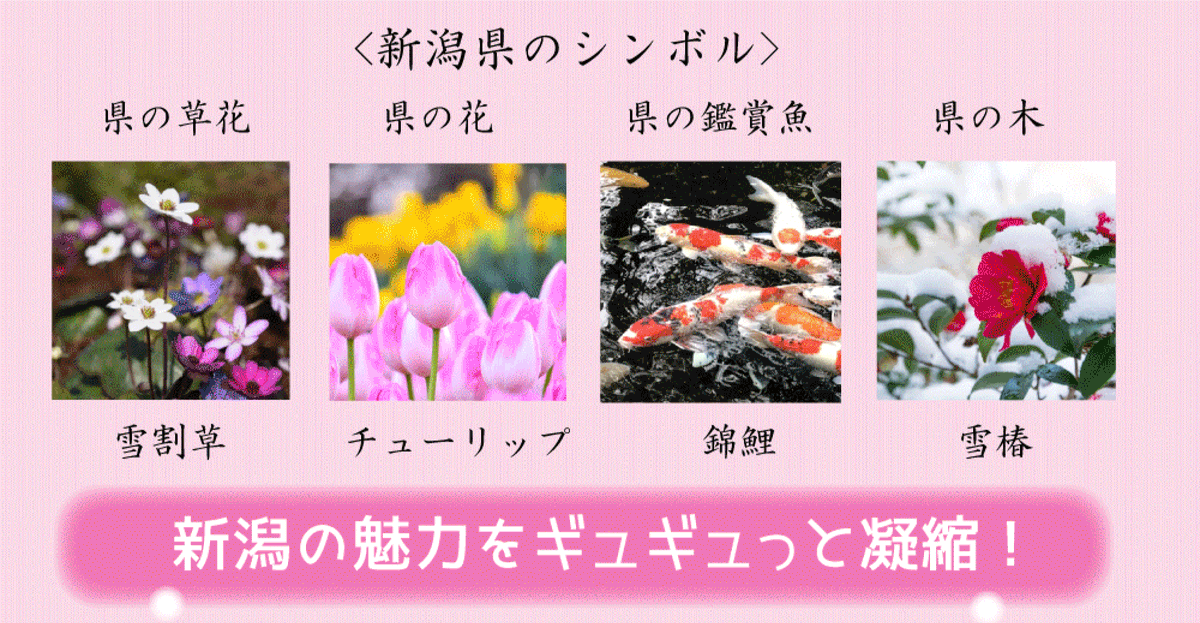 小池ろうそく店 越後花ろうそく ご当地キャラとコラボ 新潟の トッキッキ が花ろうそくになりました 新潟のお花って何か知ってますか トッキッキとともに新潟の景色と魅力を詰め込んだろうそくギフトです T Co Ycqfwl3xzn 新潟 小池ろうそく店 越後花ろうそく ご当地キャラとコラボ 新潟の トッキッキ が花ろうそくになりました 新潟のお花って何か知ってますか トッキッキとともに新潟の景色と魅力を詰め込んだろうそくギフトです T Co Ycqfwl3xzn 新潟