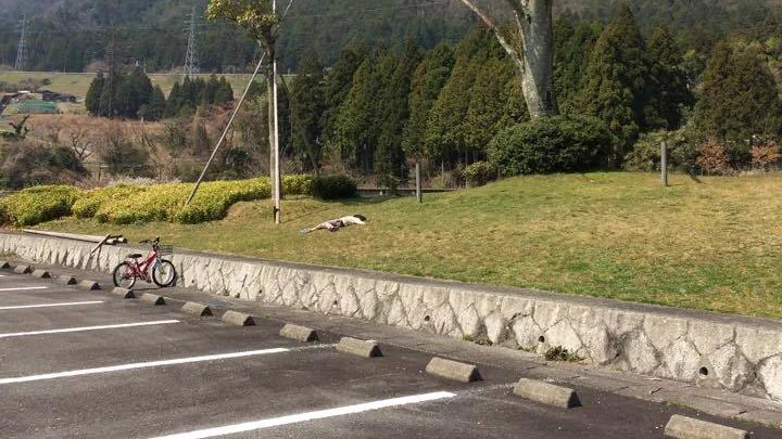 長男のマイブームが「死んだふり」だったことにより？ママ友から送られてきた写真がこれwww
