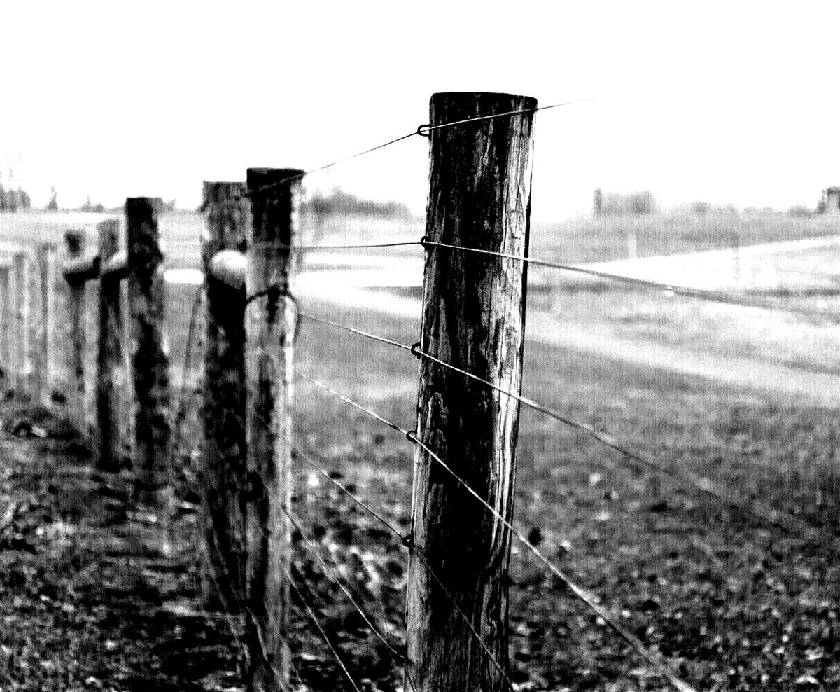 One day, I went for a walk around the campus, with my camera.And ending up clicking a photo.While taking it, I had tears in my eyes.The scene reminded me of my life.Open fields. And yet caged. Could see far out, but still couldn't cross.