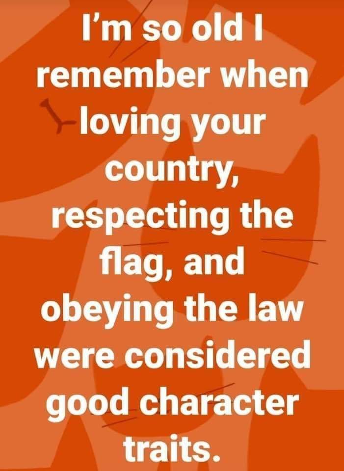 PimpiNella2024's tweet photo. No kidding !! 👇👇👇 https://t.co/b6i17unuLc