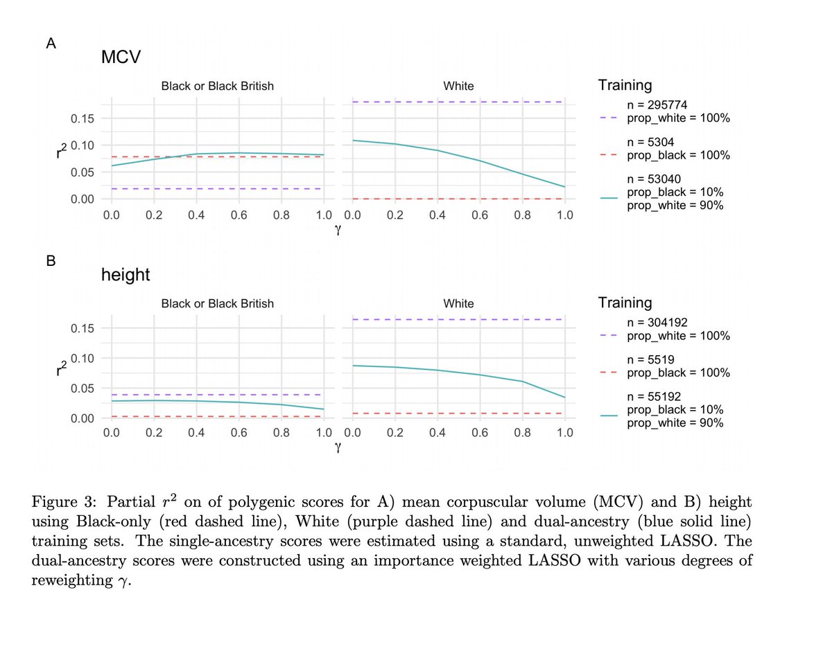 Headline 3: Optimal ancestry composition of training sets varies among traitsImportance re-weighting was v trait-dependent (also in a "good" way!)eg. mean corpuscular volume: PGS trained on a small no of Black ppl far outperformed one from a much larger number of White ppl