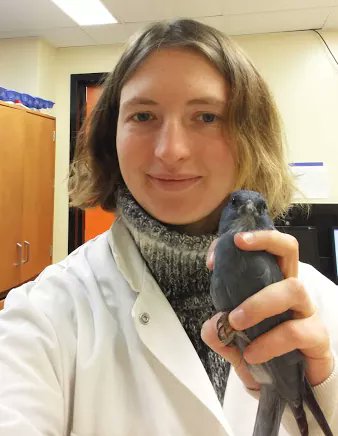 6. Species differences in caching behaviour can be explained by sociality. Also, PJs may be better at adjusting their behaviour based on social context, as they change their behaviour when observed by individual from a different species.  #AnimBehav2021