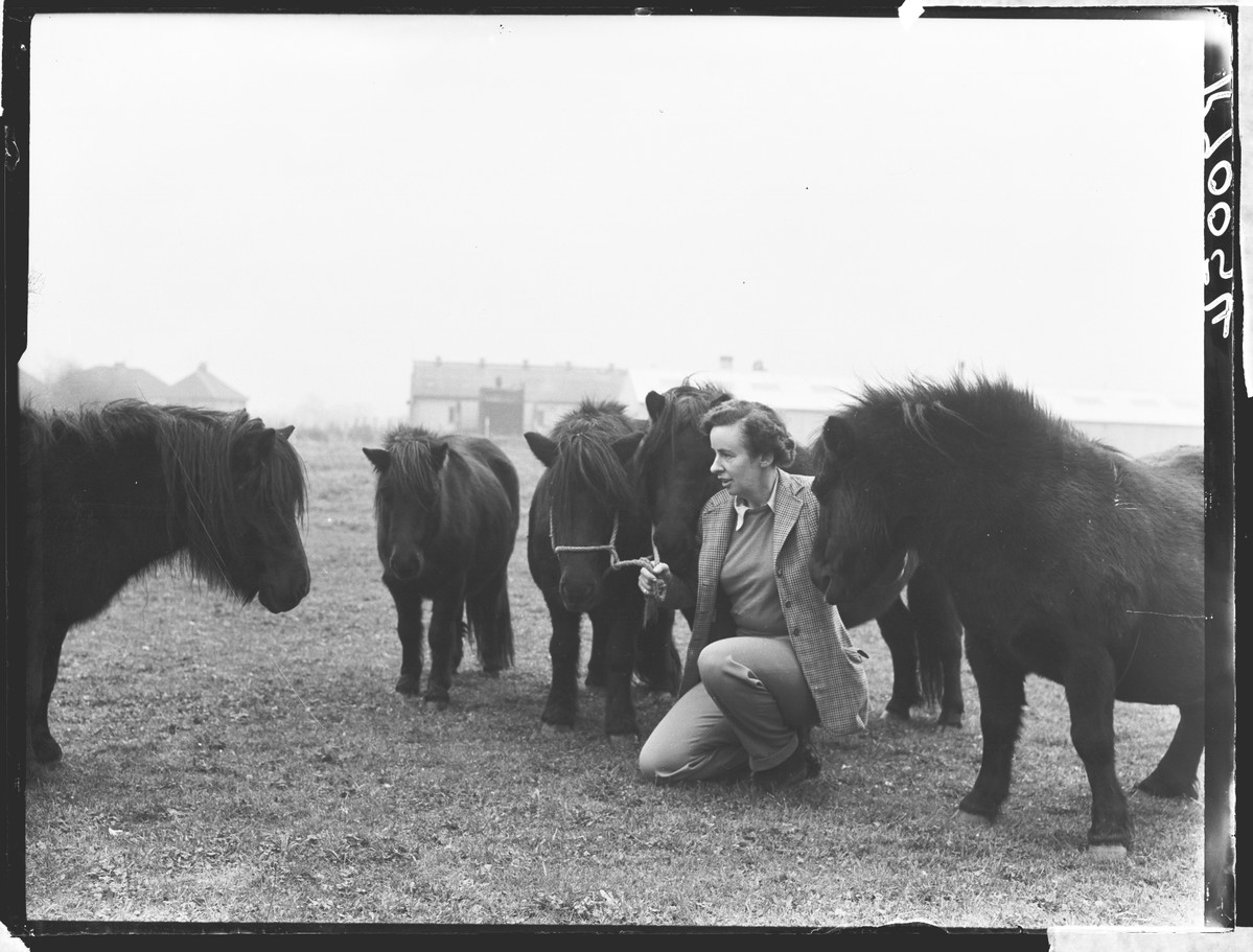 ok huddle up everyone it's team talk time