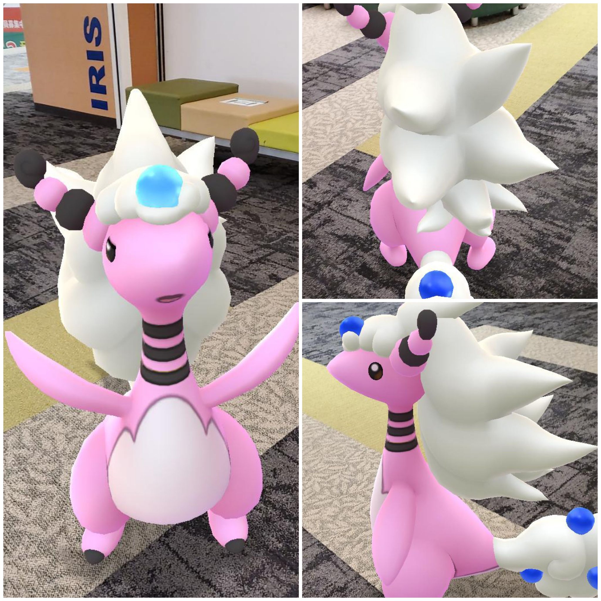 توییتر Amazinghisa در توییتر 今日のポケモンgo活動2 リモートのレイドでエナジー貯まったので キラの 色違いデンリュウをメガシンカ 初の色違いでの図鑑登録 ノ このまま エンテイのレイドアワーでバトル 木の実なしで捕獲 意外な素振りも見せる