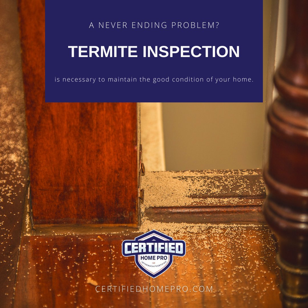 homespecpro's tweet photo. Get rid of termites as soon as possible! They are not welcome in your house. 🏘 Call Certified Home Pro to have an early inspection and control termite infestation. -- (818) 355-3392 | https://t.co/KmrtCbiplj

#California #Pasadena #Termiteinspection #termites  #wednesday https://t.co/OrzL9ssYII