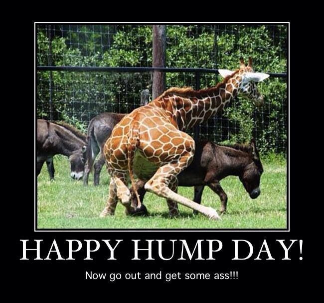 KnockFirstShop's tweet photo. Get some ass.... #HappyHump #humpdayfunny #humpdayfeels #humpwednesday #humping #humpingday https://t.co/nRVjsCuFil