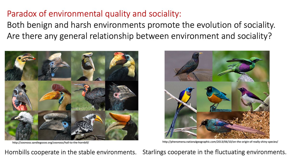 2/15 To understand the ecological consequences of cooperation, it is necessary to understand the ecological causes that promote the evolution of cooperative behavior. Resolving the paradox of environmental quality and sociality will be a key step!  #AnimBehav2021