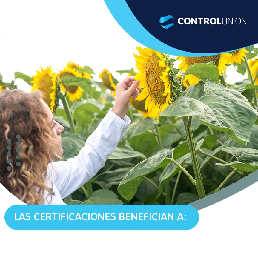 ControlUnionPY's tweet photo. LAS CERTIFICACIONES BENEFICIAN A: Los consumidores que encuentran productos correspondientes a sus expectativas.
Los productores y las empresas que tienen de este modo una ventaja comercial.
#certificaciones #controlunionparaguay #beneficiosdelacertificacion #controlunionglobal https://t.co/13SNOgqWV5