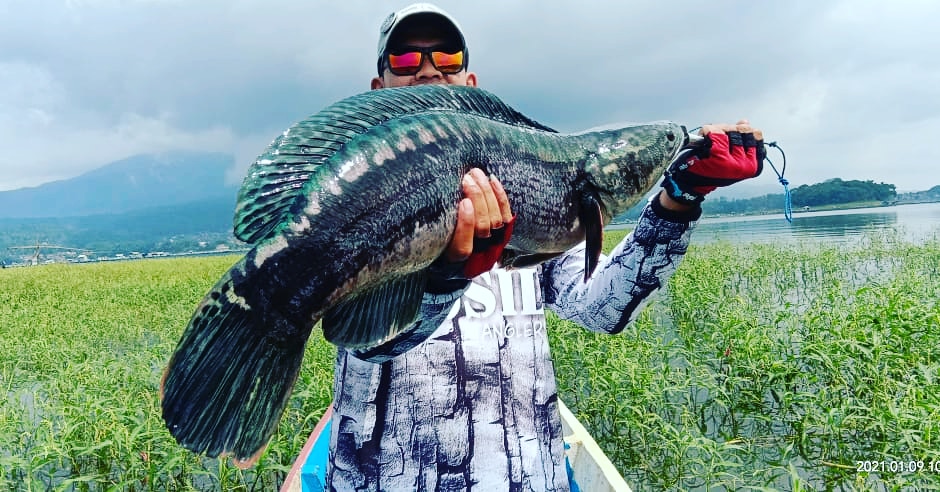 Fosilanglers's tweet photo. Wow.. https://t.co/7Nvgth6nAb