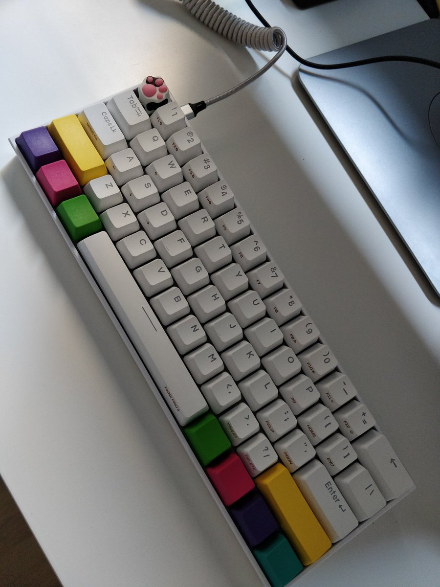 Guillem_96's tweet photo. New Keyboard! ⌨️ 🐾 https://t.co/KUsCnYSGC6