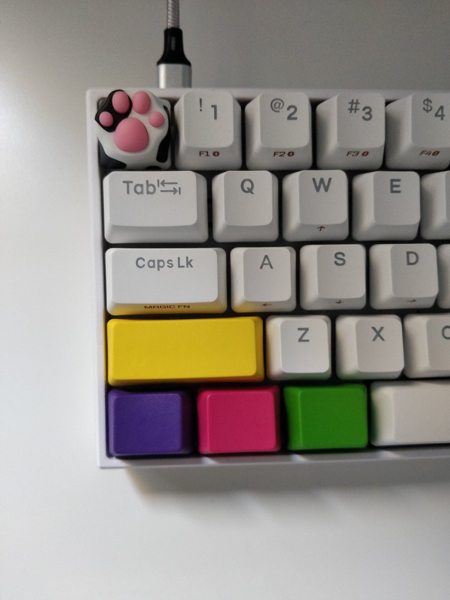 Guillem_96's tweet photo. New Keyboard! ⌨️ 🐾 https://t.co/KUsCnYSGC6